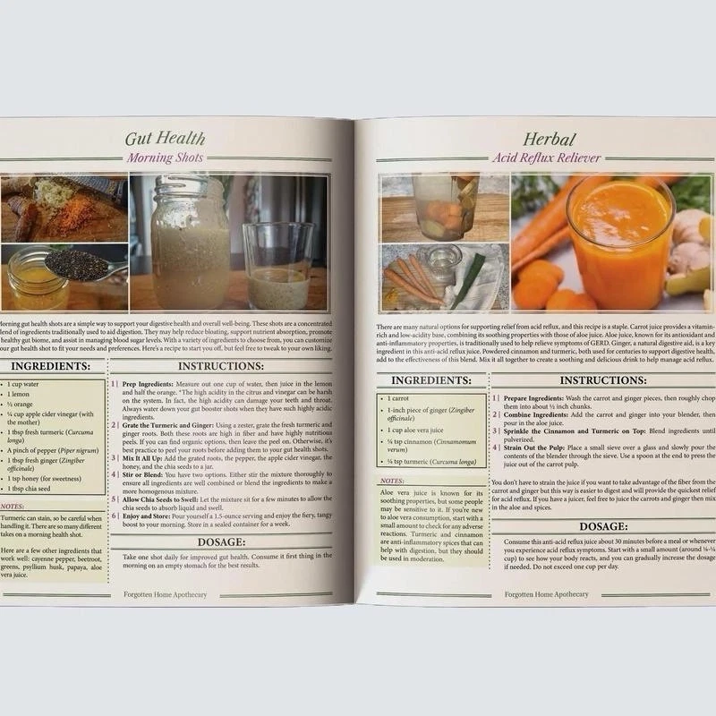 Forgotten Hom- Apσthecary:250-Powerful Remedies By  Nicole Apelian=PhD -A4 Size - Image 3 of 4