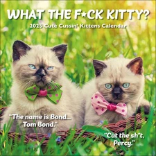 Carousel Calendars,  What the Fck Kitty 2025 Wall Calendar