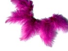 Bild 5 von 8
