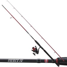 PENN Canna da Pesca in Acqua Salata-Reel Spinning Combo FIERCE IV 10-30g 2500CMB