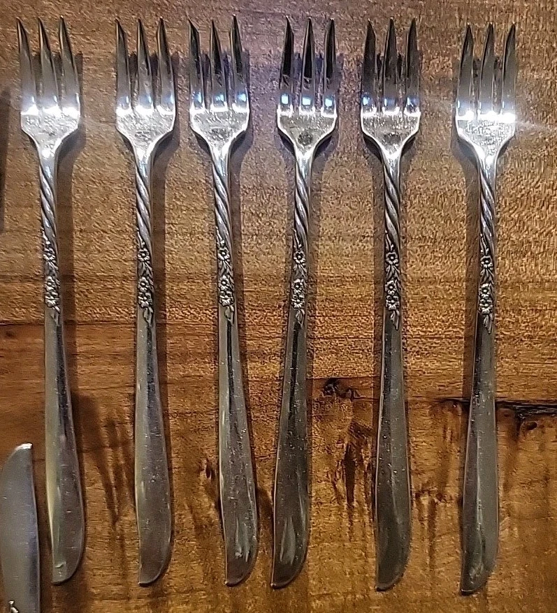 De colección 1958 Wm Rogers Oneida Wildwood I-Always placa de plata 6 ajustes de lugar + Foto 4 de 4