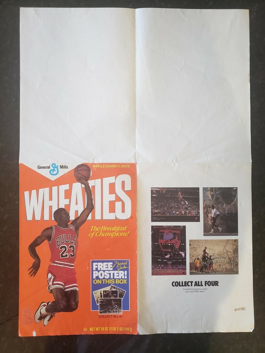 Michael Jordan / AIR JORDAN キャンバスポスター $_32.JPG?set_id=880000500F