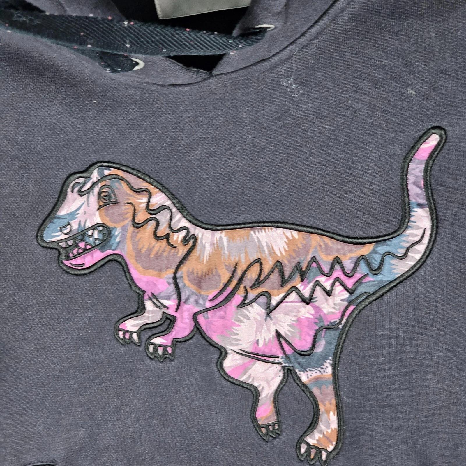 Felpa Coach × caffè con cappuccio Fassett Rexy dinosauro ricamato taglia XS $295