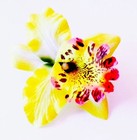 Bild 2 von 5