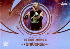 ROAD DOGG JESSE JAMES 2025 Topps Universe WWE Base #169 Pro Wrestling Card