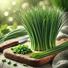 500+ CHIVES SEEDS -- GREEN ONION -- PERENNIAL --- MOSQUITO REPELLENT  --- FRESH