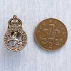 WW2 era  ACF Army Cadet Force plastic Kings Crn lapel badge mkr A Stanley & Sons