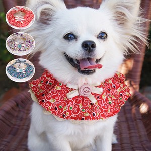 dog neck accessories