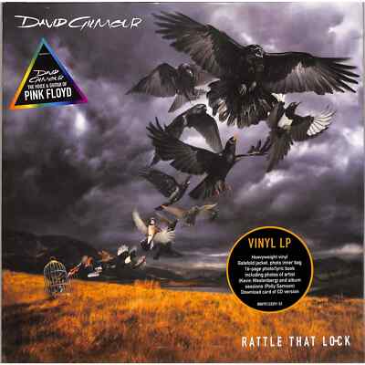 David Gilmour / RATTLE THAT LOCK (LP+Booklet) / SONY MUSIC / 88875123291 / LP