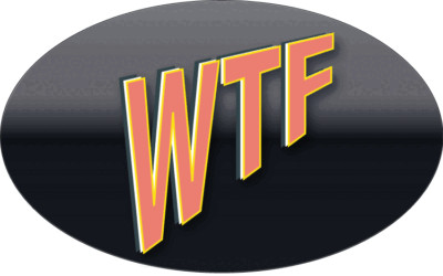 WTF 3D Car Bumper Sticker Decal
