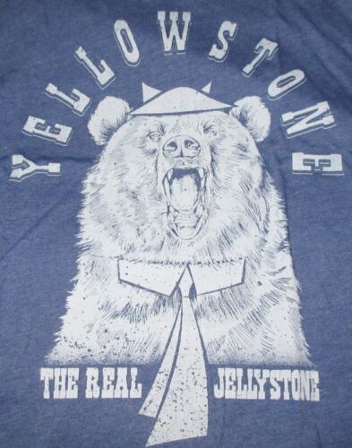 Yellowstone Yogi Bear Real Jellystone Blue Men's Large T-shirt