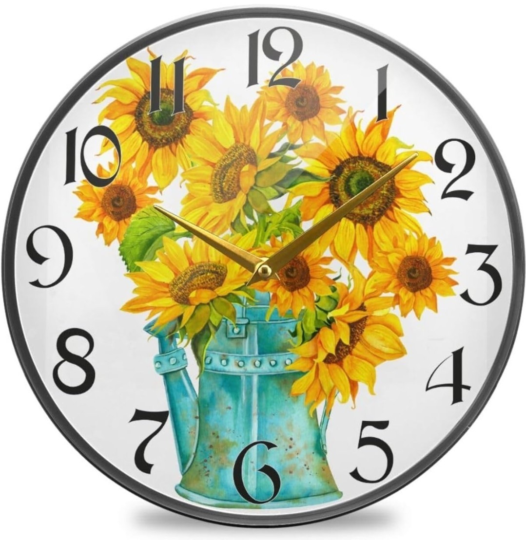 Battery Operated 12 Inch Non - Ticking
