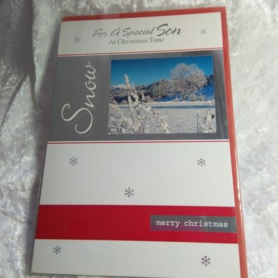 Weihnachtskarte Sohn 8''x6'' Simon Elvin Silber Schneeszene Design New Old Stock Weihnachten