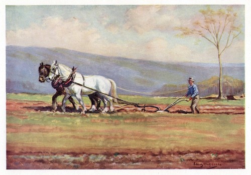 Suffolk Punch Draft Horse "Working" - CUSTOM MATTED - 1923 Vintage Art Print