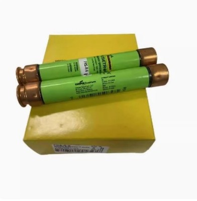   FRS-R-8   Dual   Time-Delay Fuse 600V 8Amp #nm