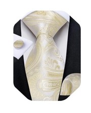 Classic Paisley Silk Tie Set for Men Necktie with Pocket Square Cufflinks