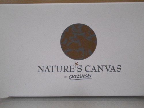 Bob Olszewski Bass Natures Canvas Collectable Trinket Box - Picture 3 of 3