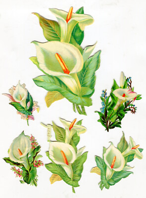 Glanzbilder Oblaten scraps Blumen Calla Konvolut 14,5 cm