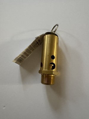 Apollo Valves RVA15 Air Relief Valve, 1'' NPT, 100 PSIG - NEW