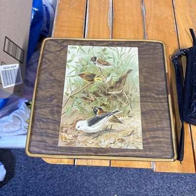 Buntings Bird Illustration by P.J. Smit 1894 Chromolithograph Wood-Look Frame