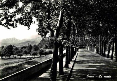 Lucca Le mura Stadtwall