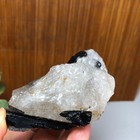 Bild 8 von 11