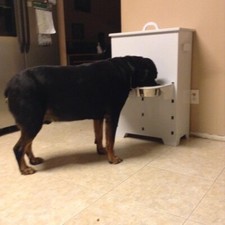 PET FOOD AND WATER ORGANIZER