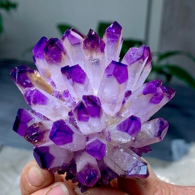 238G Newly discovered purple phantom crystal quartz cluster mineral healing