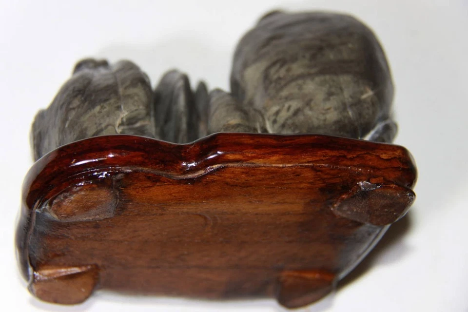 PEDRA DE MONTANHA JAPONESA 9,5cm/3,74" QUARTOS Cascata JAPÃO Bonseki Suiseki 029d - Imagem 4 de 4