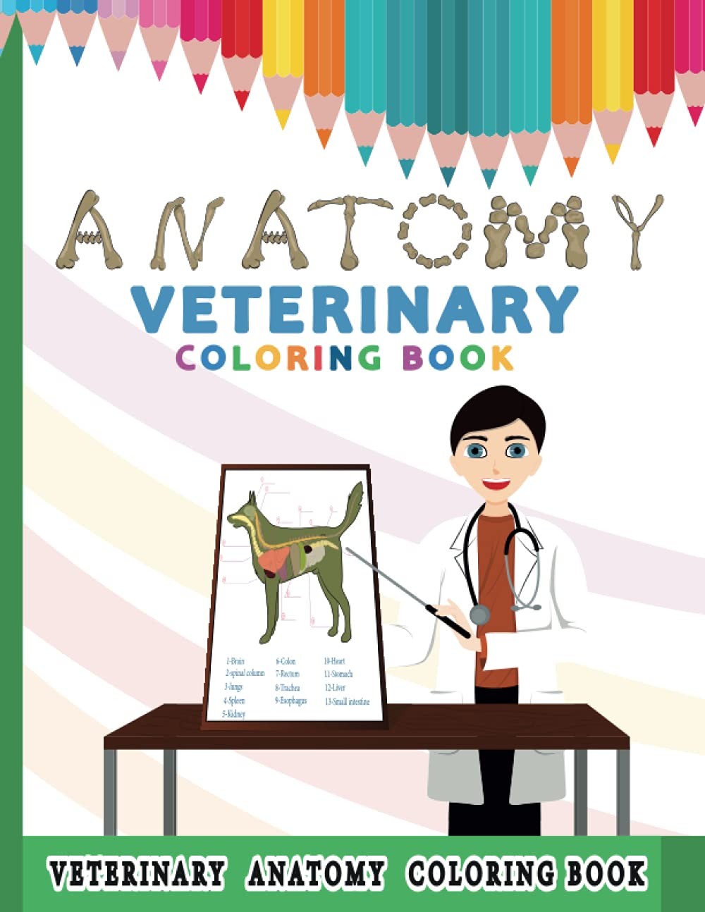 Veterinary Anatomy Coloring Book for Kids: Detailed Animal Physiology Learning