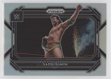 2023 Panini Prizm WWE Silver Prizm Scott Hall Razor Ramon #67 13wb