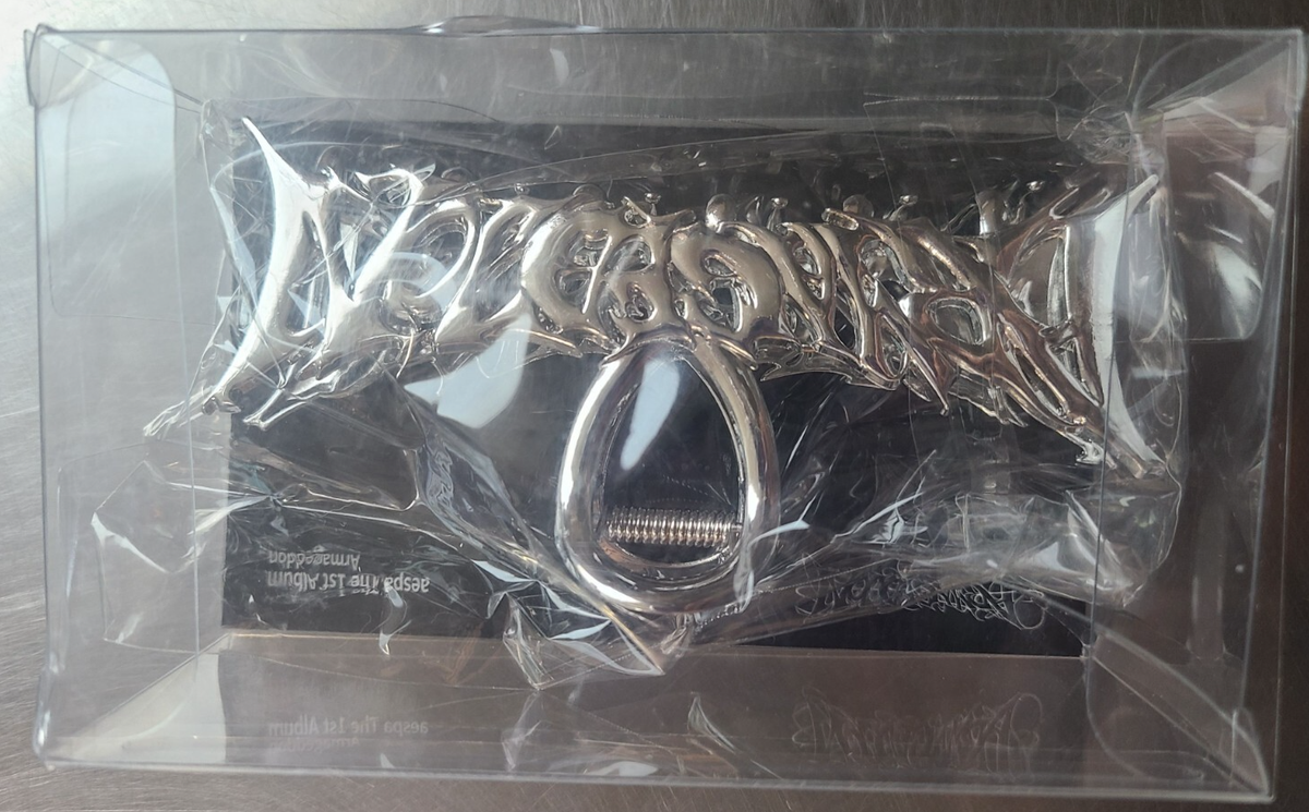 Aespa Hair Claw Clip Set 