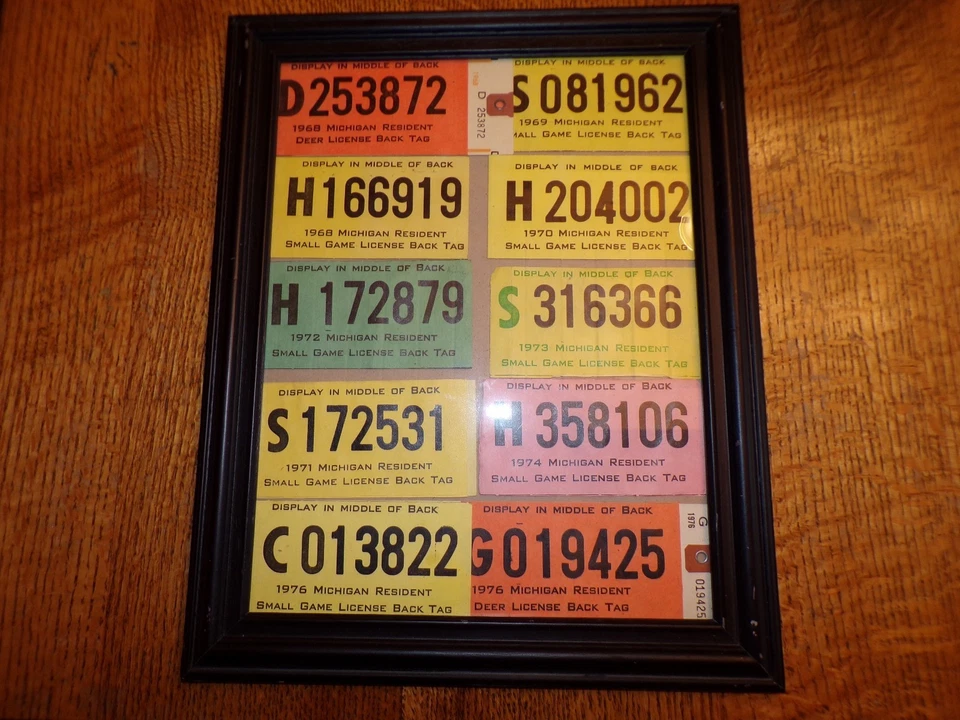 Lote de etiquetas de licencia de caza de ciervos de juego pequeño residente de Michigan vintage años 60 70 decoración Foto 4 de 4