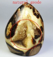 Natural Dragon Septarian Calcite Geode QUARTZ Crystal Free-form Stone Healing