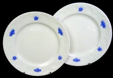 Adderley Porcelain Chelsea Blue Grapes 2Pc Antique 8 5/8" Luncheon Plates 1912-