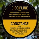 Tin Metal Signs Home Décor 8x8 French Vintage "Discipline & Constancy"