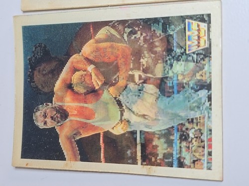 (6) 90 & 91 WWF Hasbro Mini Hologram Cards Hulk Hogan, Twd Dibiase And More! - Picture 7 of 8