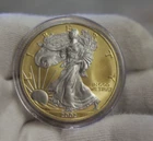 2002 US Silver Eagle $1 Gold/Platinum Highlights Unc