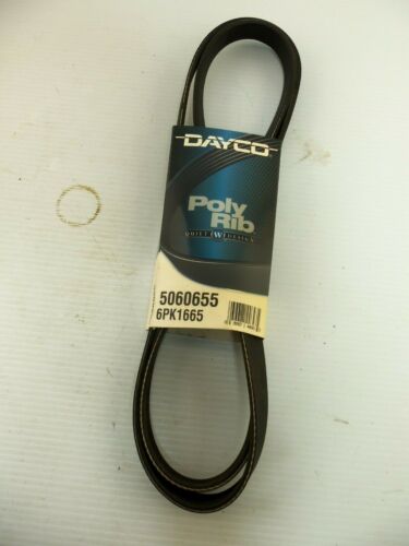 Dayco Poly Rib 5060655 Serpentine Belt NEW