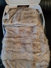 Picture 4 of 6