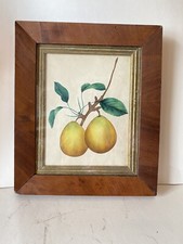 Vintage Antique Pear Fruit Theorem Watercolor Painting Frame Americana Folk Art