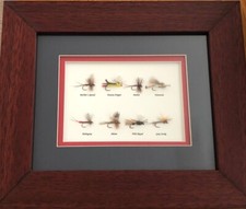 8 Framed and Mounted Trout Dry Flies