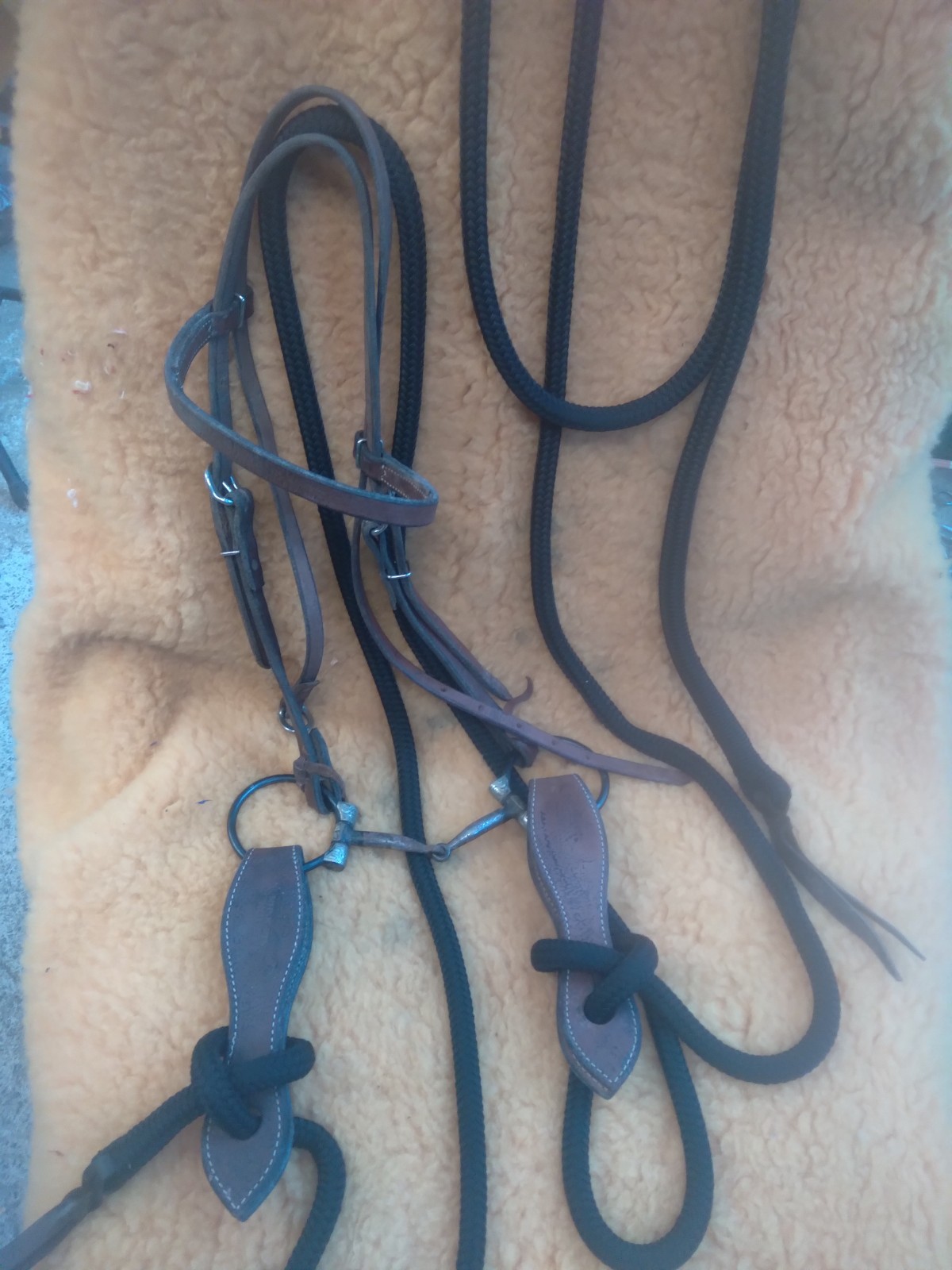 Genuine Clinton Anderson D ring  snaffle bridle with Makati Reins