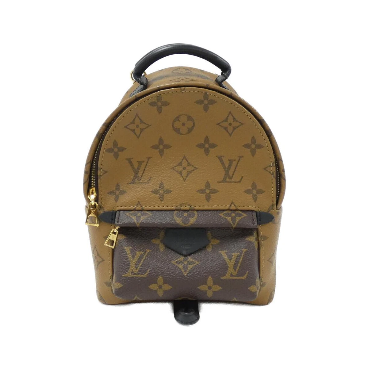 Louis Vuitton Palm Springs Monogram