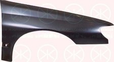 Peugeot 406 Bj. 95-99 Kotflügel vorne rechts mit Blinkerloch