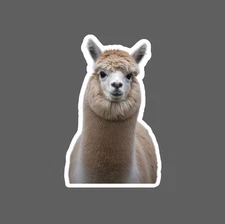 Alpaca Sticker Wool Animal Farm Fleece Gift Waterproof NEW