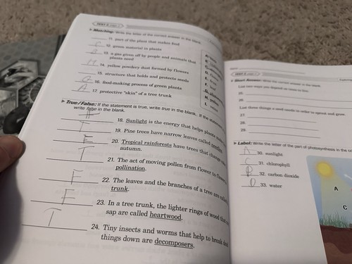 Abeka Exploring God’s World - Student & Teacher Books, 5th Ed. Grade 3 Science - Picture 4 of 5