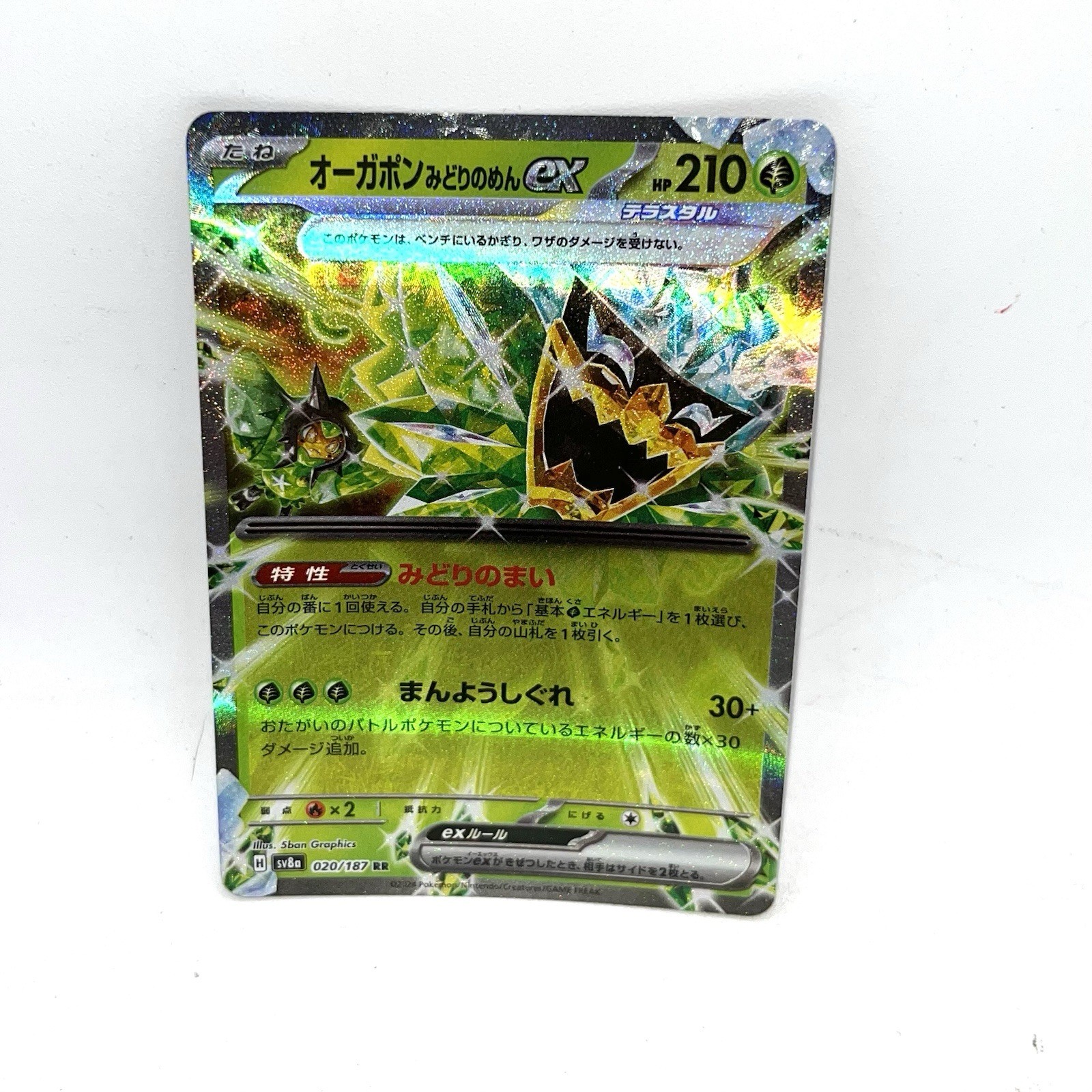 Teal Mask Ogerpon ex 020/187 NM Terastal Festival ex Japanese Pokemon Card TCG
