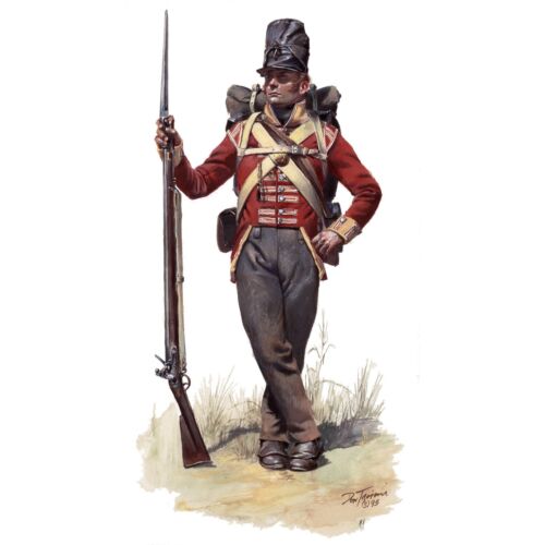 Modèles passés 0040 - motif veste armée britannique époque napoléonienne pour poitrine 46" - Photo 1/3