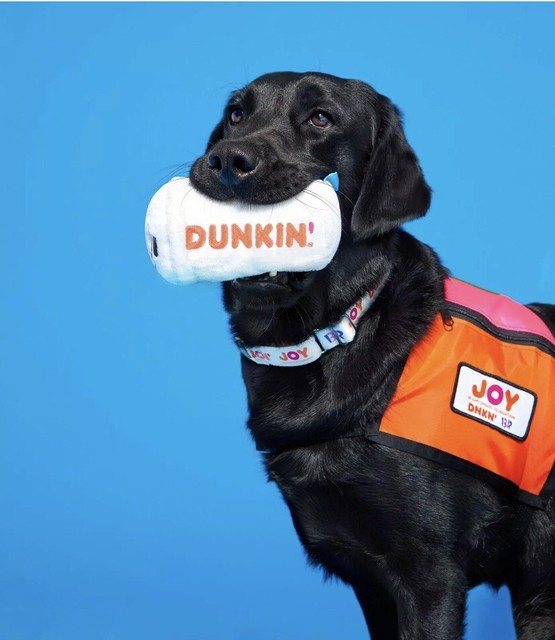 Dunkin coffee cup dog toy